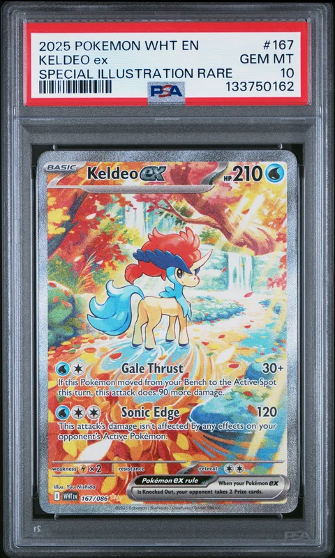 cardshq232804