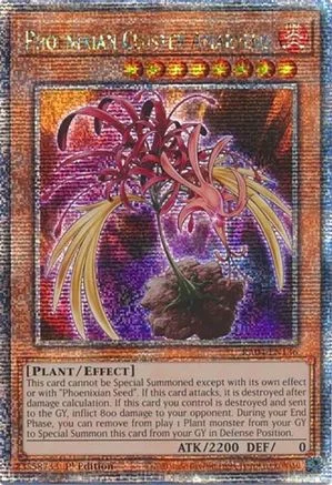 trinityhobby355700
