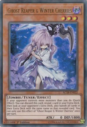 trinityhobby3934384